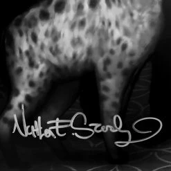 VAULT COLLECTIBLES Dc Wedding Hand-Signed Artwork Print By Artist Nathan Szerdy Custom Frame. Ready To Ship! 48 Hour Shipping!