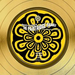 RARE-T Limited Edition Frames David Cassidy & The Partridge Family - The Definitive Collection Gold LP Limited Signature Edition Studio Licensed Custom Frame 14 RARE-T Limited Edition Frames David Cassidy & The Partridge Family - The Definitive Collection Gold LP Limited Signature Edition Studio Licensed Custom Frame