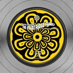 RARE-T David Cassidy & The Partridge Family - The Definitive Collection Platinum LP Limited Signature Edition Studio Licensed Custom Frame Limited Edition Frames 14 RARE-T David Cassidy & The Partridge Family - The Definitive Collection Platinum LP Limited Signature Edition Studio Licensed Custom Frame Limited Edition Frames