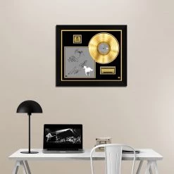 RARE-T Limited Edition Frames Deftones White Pony Gold LP Limited Signature Edition Studio Licensed Custom Frame