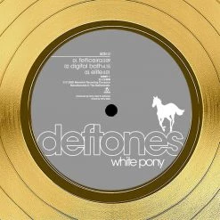 RARE-T Limited Edition Frames Deftones White Pony Gold LP Limited Signature Edition Studio Licensed Custom Frame
