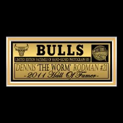RARE-T Dennis Rodman Chicago Bulls Photo Limited Signature Edition Studio Licensed Custom Frame Limited Edition Frames