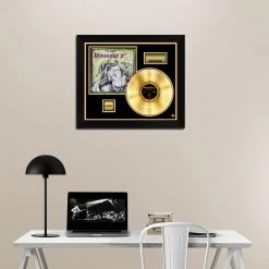 RARE-T Dinosaur Jr. - You’re Living All Over Me Gold LP Limited Signature Edition Studio Licensed Custom Frame