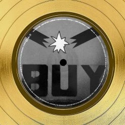 RARE-T Limited Edition Frames Dixie Chicks - Home Gold LP Limited Signature Edition Studio Licensed Custom Frame