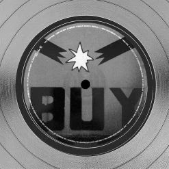 RARE-T Limited Edition Frames Dixie Chicks - Home Platinum LP Limited Signature Edition Studio Licensed Custom Frame