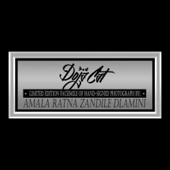 RARE-T Doja Cat Blue Photo Limited Signature Edition Studio Licensed Custom Frame Limited Edition Frames