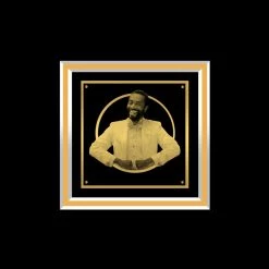 Rare-T Limited Edition Frames Bobby McFerrin Don't Worry Be Happy Limited Signature Edition Studio Licensed Gold LP Custom Frame