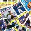 RARE-T Montreal Expos- Vintage 1987 Set Of 14 Provigo Coupon Baseball Cards Sports Memorabilia