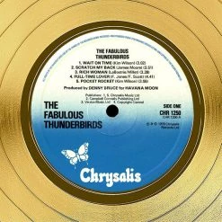 Rare-T Limited Edition Frames Fabulous Thunderbirds - Girls Go Wild Gold LP Limited Signature Edition Studio Licensed Custom Frame