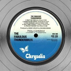 Rare-T Limited Edition Frames Fabulous Thunderbirds - Girls Go Wild Platinum LP Limited Signature Edition Studio Licensed Custom Frame