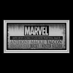 RARE-T Falcon & Winter Soldier Promotional Art Limited Signature Edition Studio Licensed Custom Frame Limited Edition Frames