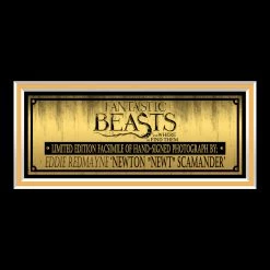 RARE-T Fantastic Beasts - Newt Photo Limited Signature Edition Studio Licensed Custom Frame