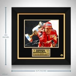RARE-T Sports Memorabilia Fernando Alonso Photo Limited Signature Edition Studio Licensed Custom Frame