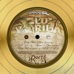 RARE-T Flo Rida - R.O.O.T.S Gold LP Limited Signature Edition Studio Licensed Custom Frame 14 RARE-T Flo Rida - R.O.O.T.S Gold LP Limited Signature Edition Studio Licensed Custom Frame