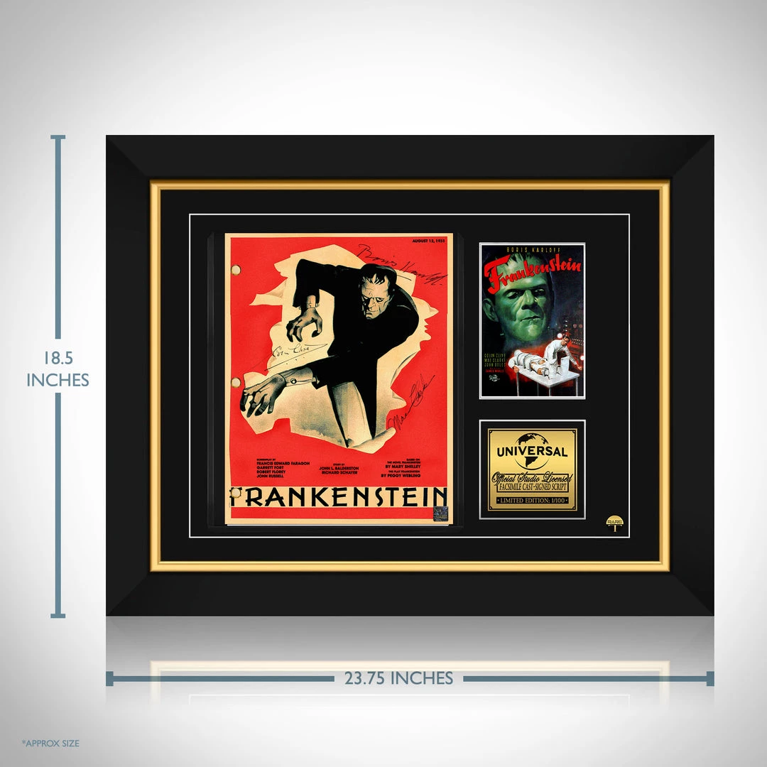 RARE-T Frankenstein (1931) Script Limited Signature Edition Studio Licensed Custom Frame 7 RARE-T Frankenstein (1931) Script Limited Signature Edition Studio Licensed Custom Frame