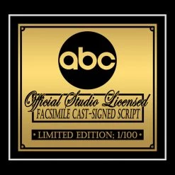 RARE-T Gargoyles Animted Series Transcript Limited Signature Edition Studio Licensed Custom Frame Limited Edition Frames