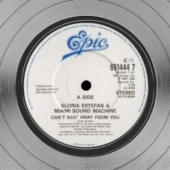 RARE-T Gloria Estefan & Miami Sound Machine - Let It Loose Platinum LP Limited Signature Edition Studio Licensed Custom Frame Limited Edition Frames