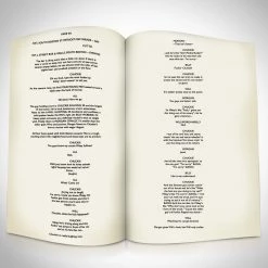 RARE-T Limited Edition Frames Good Will Hunting Movie Script Limited Signature Edition Studio Licensed Custom Frame