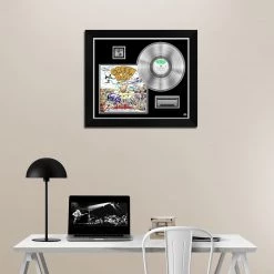 RARE-T Limited Edition Frames Green Day Dookie Platinum LP Limited Signature Edition Studio Licensed Custom Frame