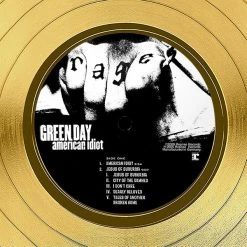 RARE-T Limited Edition Frames Green Day American Idiot Gold LP Limited Signature Edition Studio Licensed Custom Frame