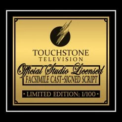 RARE-T Grey's Anatomy Script Limited Signature Edition Studio Licensed Custom Frame Limited Edition Frames