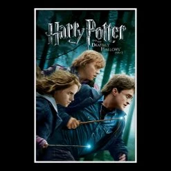 RARE-T Harry Potter Deathly Hallows Part 1 Movie Script Limited Signature Edition Studio Licensed Custom Frame Limited Edition Frames