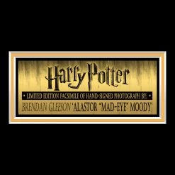 RARE-T Harry Potter - Alastor
