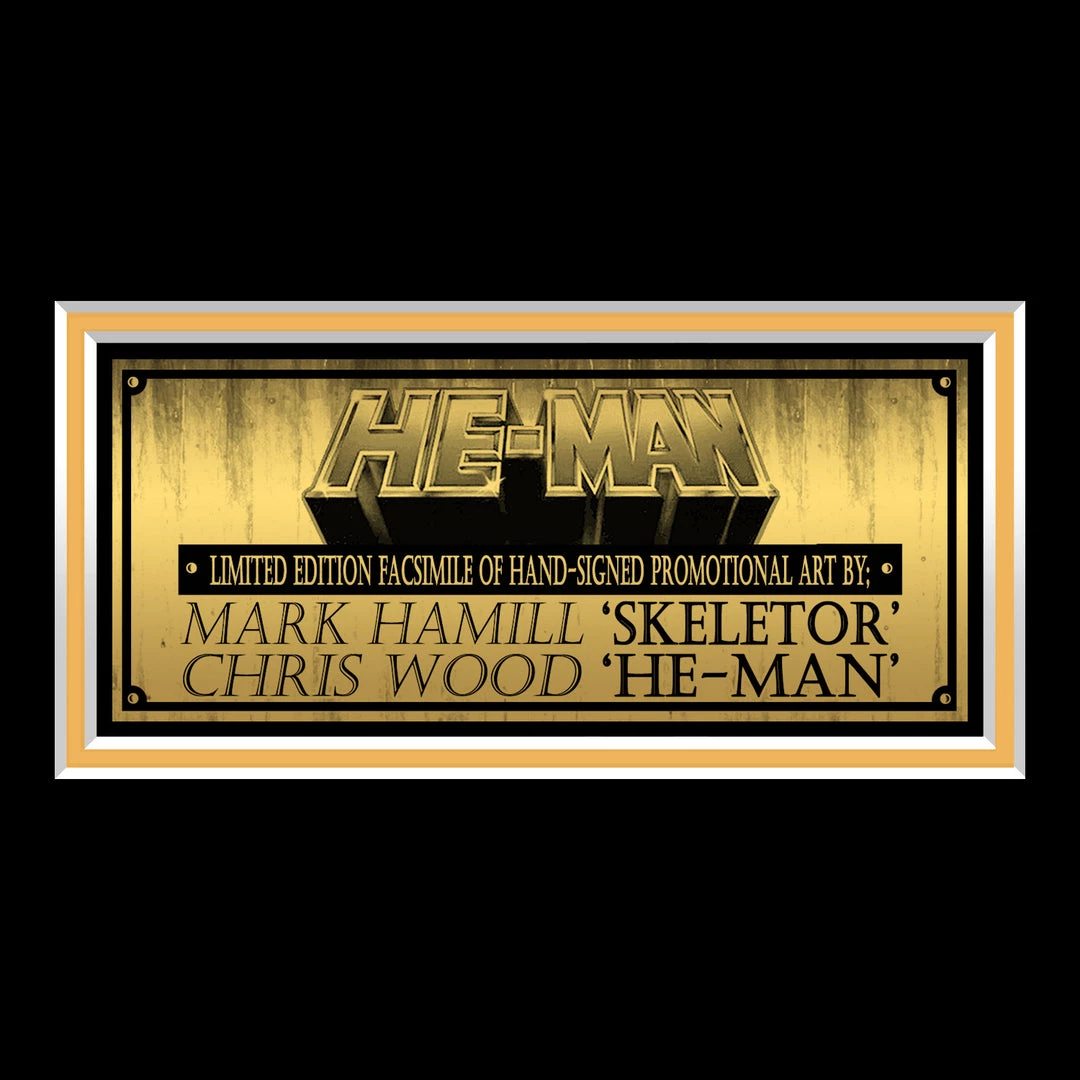 RARE-T Masters Of The Universe Revelation Promotional Art Limited Signature Edition Studio Licensed Custom Frame 6 RARE-T Masters Of The Universe Revelation Promotional Art Limited Signature Edition Studio Licensed Custom Frame