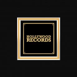 RARE-T Limited Edition Frames Jonas Brothers - A Little Bit Longer Gold LP Limited Signature Edition Studio Licensed Custom Frame