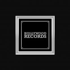 RARE-T Jonas Brothers - A Little Bit Longer Platinum LP Limited Signature Edition Studio Licensed Custom Frame