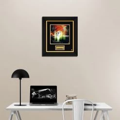 RARE-T Incubus Make Yourself LP Cover Limited Signature Edition Studio Licensed Custom Frame Limited Edition Frames