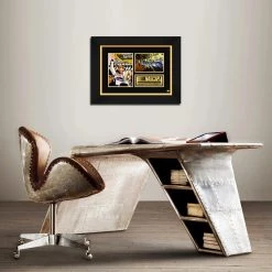 RARE-T Jimmie Johnson Photo Limited Signature Edition Studio Licensed Custom Frame