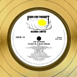 RARE-T Joe Satriani - Flying In A Blue Dream Gold LP Limited Signature Edition Studio Licensed Custom Frame