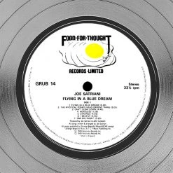 RARE-T Limited Edition Frames Joe Satriani - Flying In A Blue Dream Platinum LP Limited Signature Edition Studio Licensed Custom Frame