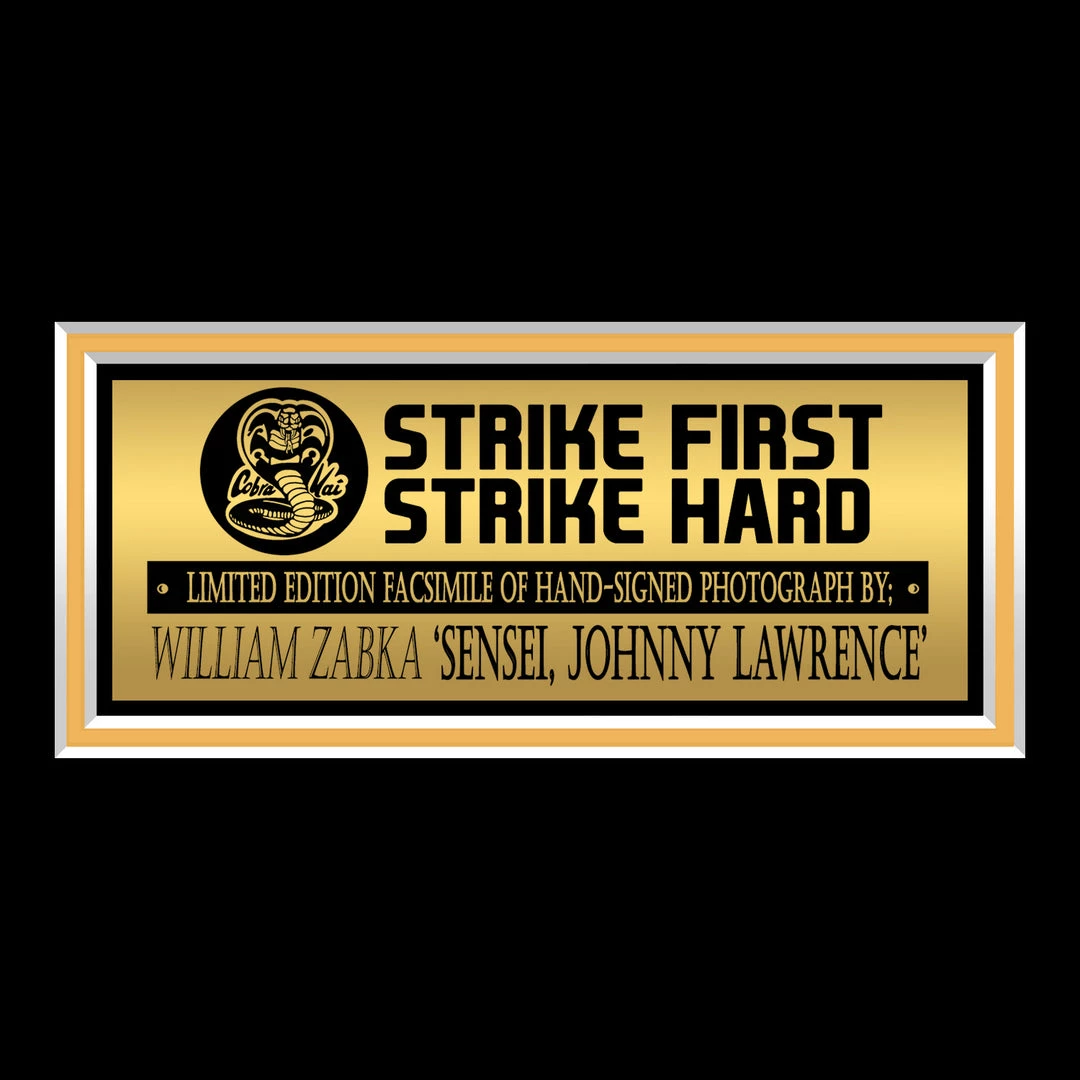 RARE-T Limited Edition Frames Cobra Kai - Johnny Photo Limited Signature Edition Studio Licensed Custom Frame 5 RARE-T Limited Edition Frames Cobra Kai - Johnny Photo Limited Signature Edition Studio Licensed Custom Frame