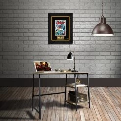 RARE-T Limited Edition Frames The Joker #1 Limited Signature Edition Comic Book Cover Art Custom Frame