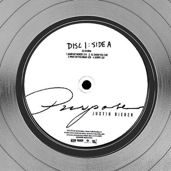 RARE-T Limited Edition Frames Justin Bieber- Purpose Platinum LP Limited Signature Edition Studio Licensed Custom Frame 5 RARE-T Limited Edition Frames Justin Bieber- Purpose Platinum LP Limited Signature Edition Studio Licensed Custom Frame