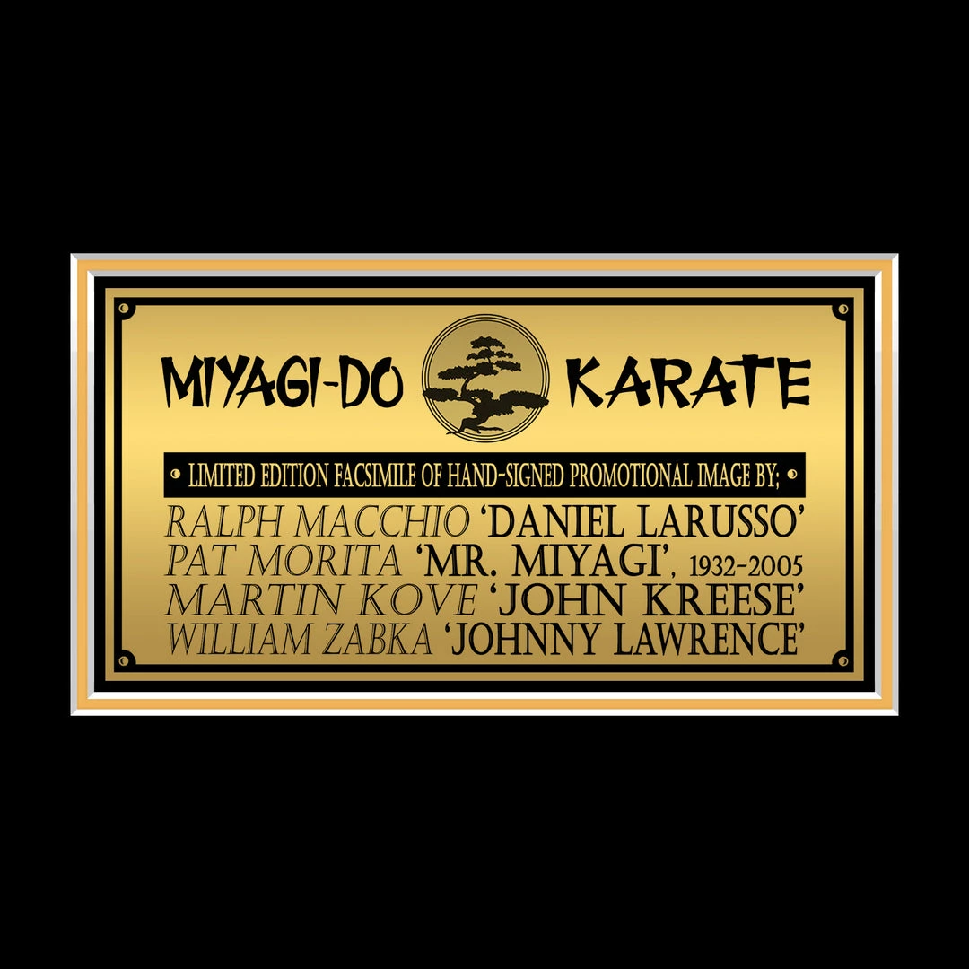 RARE-T The Karate Kid Photo & VHS Limited Signature Edition Studio Licensed Custom Frame NEW 4 RARE-T The Karate Kid Photo & VHS Limited Signature Edition Studio Licensed Custom Frame NEW