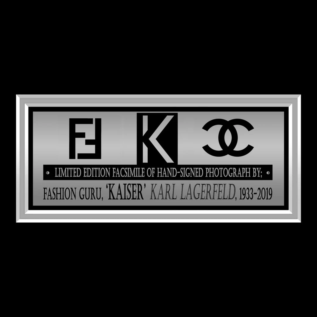 RARE-T Karl Lagerfeld Photo Limited Signature Edition Studio Licensed Custom Frame 5 RARE-T Karl Lagerfeld Photo Limited Signature Edition Studio Licensed Custom Frame