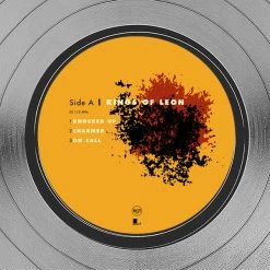 RARE-T Kings Of Leon Because Of The Times Platinum LP Limited Signature Edition Studio Licensed Custom Frame 12 RARE-T Kings Of Leon Because Of The Times Platinum LP Limited Signature Edition Studio Licensed Custom Frame