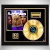 RARE-T LMFAO - Sorry For Party Rocking Gold LP Limited Signature Edition Studio Licensed Custom Frame