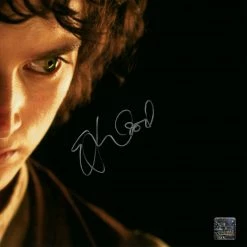 RARE-T Limited Edition Frames Lord Of The Rings - Frodo Limited Signature Edition Studio Licensed Movie Mini Poster Custom Frame