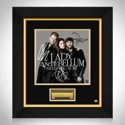 RARE-T Lady Antebellum - Need You Now LP Cover Limited Signature Edition Studio Licensed Custom Frame