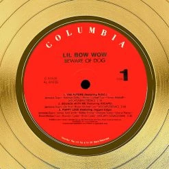 RARE-T Lil Bow Wow - Beware Of Dog Gold LP Limited Signature Edition Studio Licensed Custom Frame Limited Edition Frames