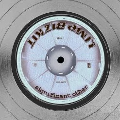 RARE-T Limited Edition Frames Limp Bizkit Significant Others Platinum LP Limited Signature Edition Studio Licensed Custom Frame 14 RARE-T Limited Edition Frames Limp Bizkit Significant Others Platinum LP Limited Signature Edition Studio Licensed Custom Frame