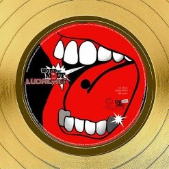 RARE-T Limited Edition Frames Ludacris - Word Of Mouf Gold LP Limited Signature Edition Studio Licensed Custom Frame