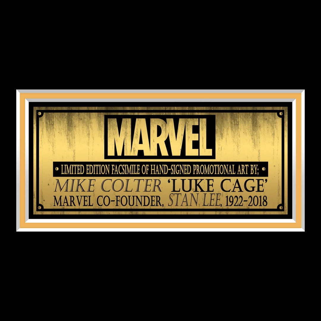 RARE-T Limited Edition Frames Luke Cage Promotional Art Limited Signature Edition Studio Licensed Custom Frame 5 RARE-T Limited Edition Frames Luke Cage Promotional Art Limited Signature Edition Studio Licensed Custom Frame