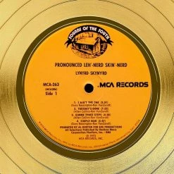 RARE-T Lynyrd Skynyrd Pronounced LŽ?h-'n??rd 'Skin-'n??rd Gold LP Limited Signature Edition Licensed Custom Frame Limited Edition Frames