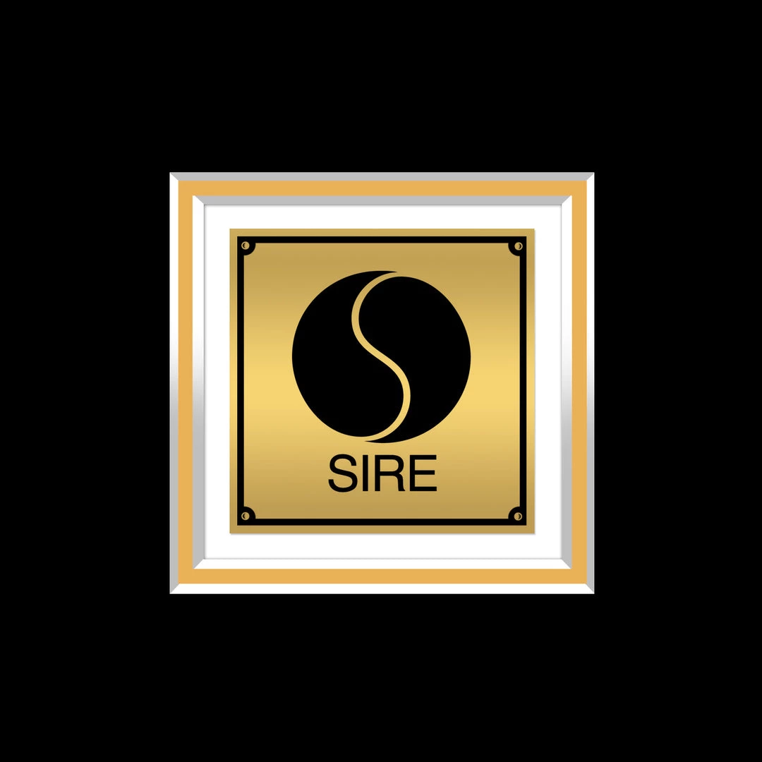 Rare-T Madonna True Blue Gold LP Limited Signature Edition Studio Licensed Custom Frame Limited Edition Frames 7 Rare-T Madonna True Blue Gold LP Limited Signature Edition Studio Licensed Custom Frame Limited Edition Frames