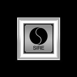 Rare-T Madonna True Blue Limited Signature Edition Studio Licensed Platinum LP Custom Frame Limited Edition Frames